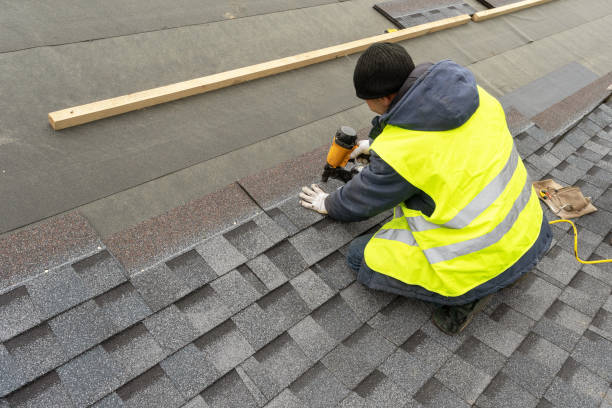 Roof Gutter Cleaning in Mallory, WV
