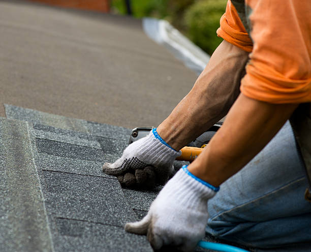 Best Local Roofing Companies  in Mallory, WV