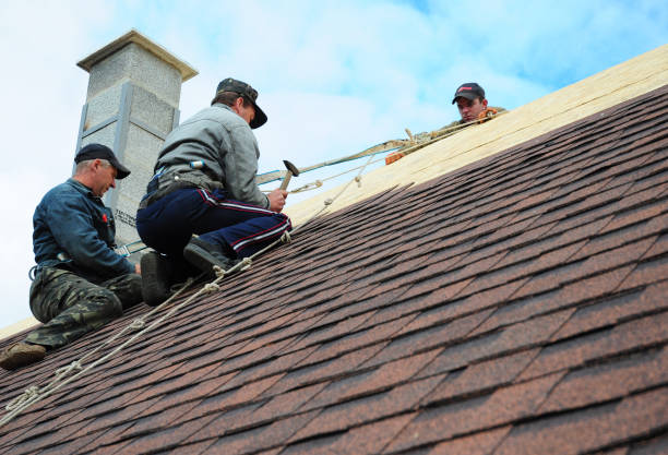 Best Best Roofing Contractors  in Mallory, WV