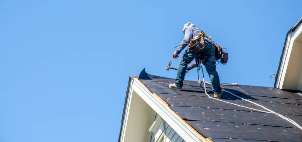 Best Metal Roofing Contractor  in Mallory, WV